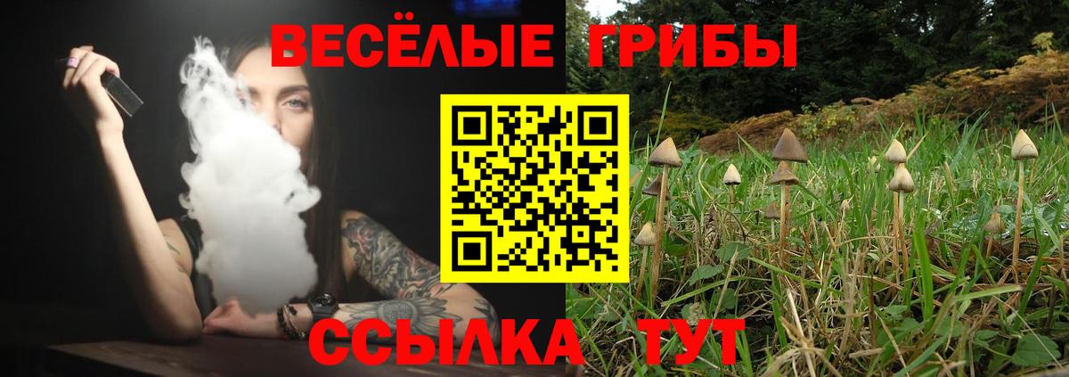 Псилоцибиновые грибы Psilocybe  что такое   Усинск  Вход с VPN 